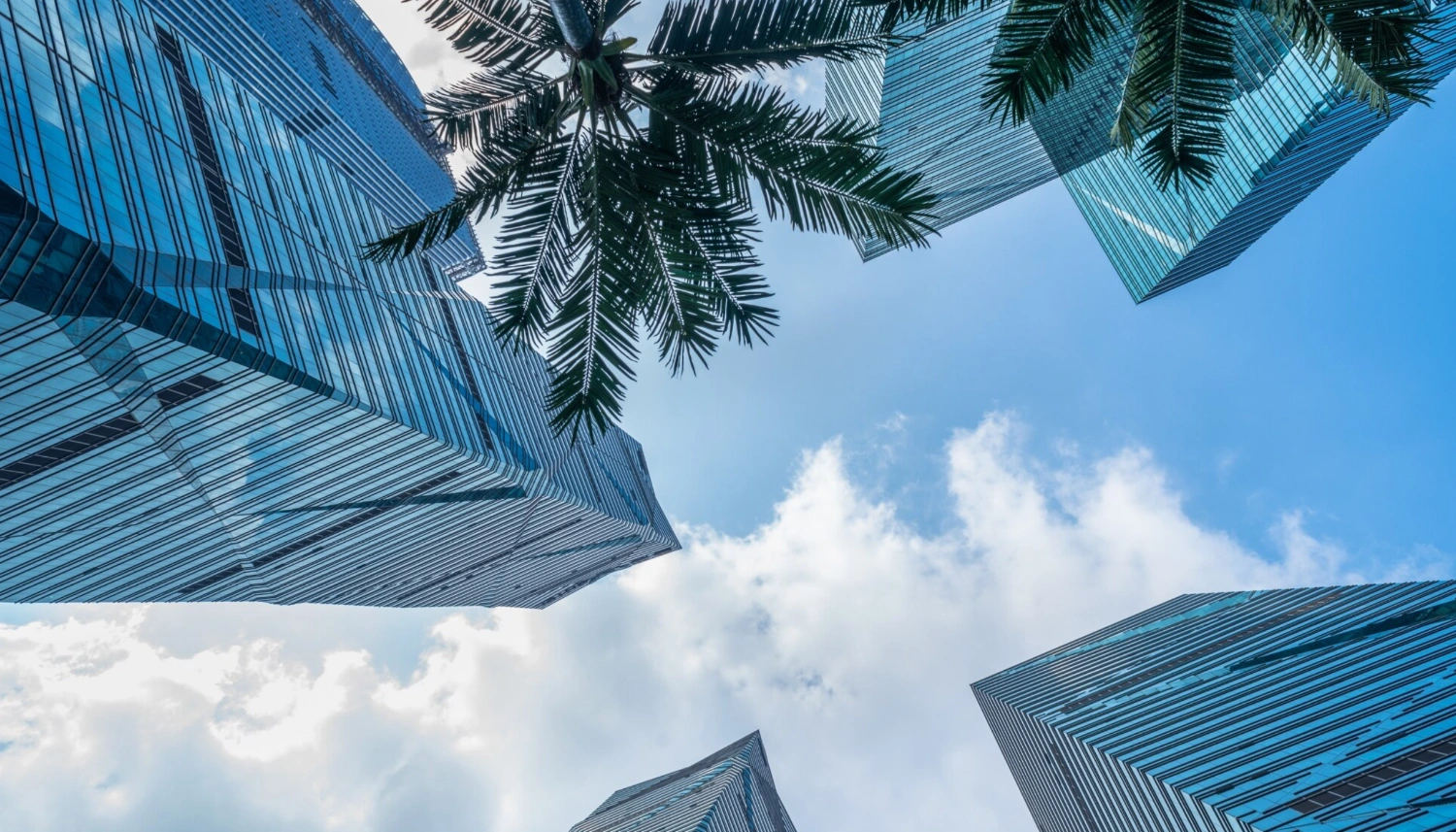 ERP for Professional Services